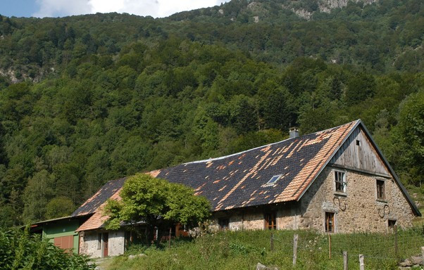 ferme-auberge-hinteralfeld-6