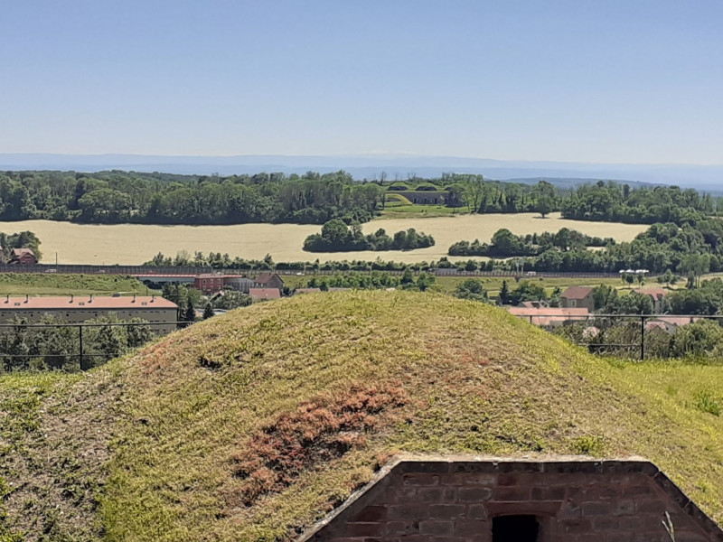 Belfort-lion-de-bartholdi-2 Belfort-lion-de-bartholdi-2