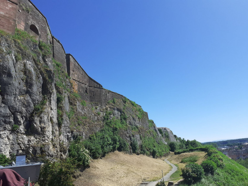 Belfort-lion-de-bartholdi-5