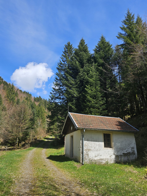 chapelle-botiotte-saint-maurice-sur-moselle-5 chapelle-botiotte-saint-maurice-sur-moselle-5