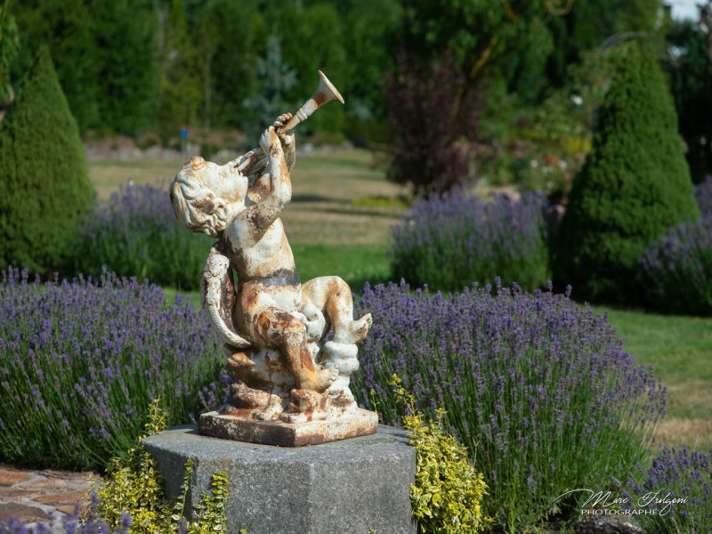 jardin-de-bonnegoutte-cornimont-1 jardin-de-bonnegoutte-cornimont-1