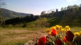 appartement-chalet-location-vosges-bussang-parmentier-mai-2016-4-92343