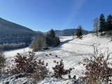 bussang-vosges-gite-la-cle-des-champs-2977-321759