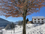 bussang-vosges-gite-la-cle-des-champs-2985-321761