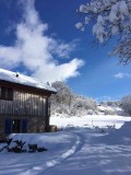 chalet-individuel-location-le-thillot-vosges-6-211113