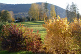 Chalet sous le théatre - Location de vacances - Bussang-292668