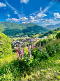 Ferme-typique-renovee-pour-10-personnes-vosges-bussang-277516