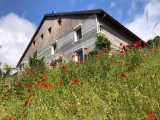 gite-du-draimont-fresse-sur-moselle-258237
