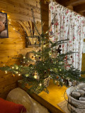 location-chalet-le-menil-hautes-vosges-292368