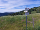 location-chalet-le-menil-hautes-vosges41-216423