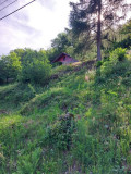 location-chalet-le-menil-hautes-vosges9-216392