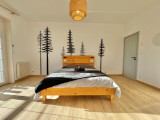 maison-15-personnes-jacuzzi-sauna-spa-le-thillot-hautes-vosges-1-294144