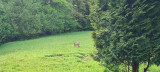 maison-individuelle-5-personnes-saint-maurice-sur-moselle-vosges-291005