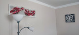 maison-individuelle-5-personnes-saint-maurice-sur-moselle-vosges-291008