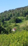 petit-paradis-location-saint-maurice-moselle-hautes-vosges-10-193988