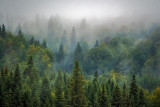 nature-et-bien-etre-bussang