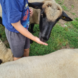 visite-guidee-ferme-ventron