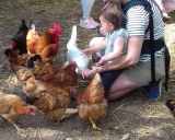 visite-gouter-ferme-ventron