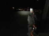 cani-rando-nocturne-Bussang3
