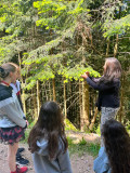 estivales-Chitelet-3