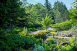 exploration-botanique-xonrupt-longemer2