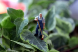 salon-des-miniatures