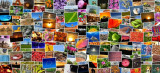 expo-photo-plein-air-rupt-sur-moselle