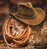 apero-lasso