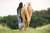 initiation-equestre
