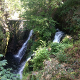 saut-oignon-215996