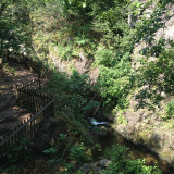 saut-oignon-22-215998