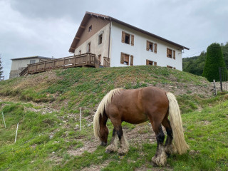 bussang-vosges-gite-la-cle-des-champs-vue-ext-01-308410