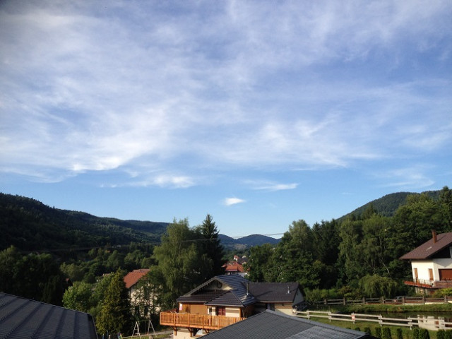 chalet-saint-maurice -sur-moselle-119011