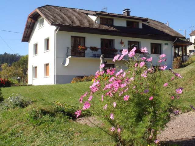 gite 6 personnes vosges-233282
