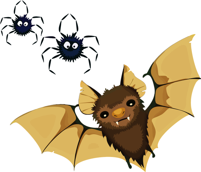 nuit-chauve-souris-le-thillot