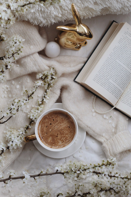 cafe-lecture-mediatheque