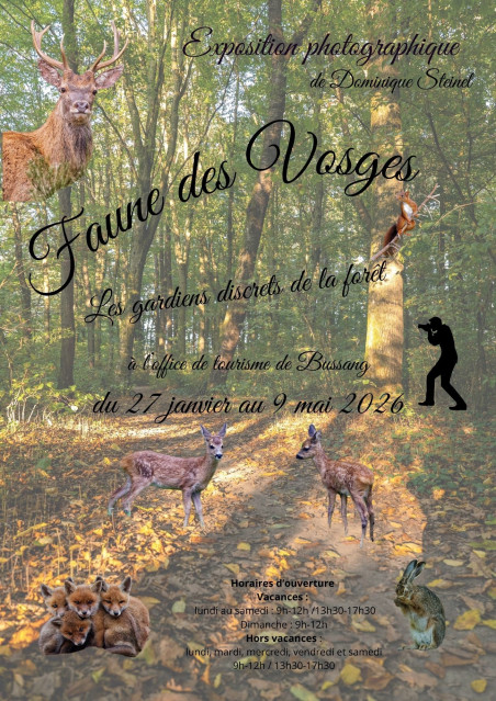 exposition-photographique-dominique-steinel