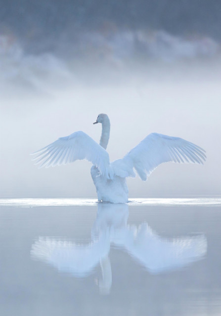 exposition-photographique-dominique-steinel