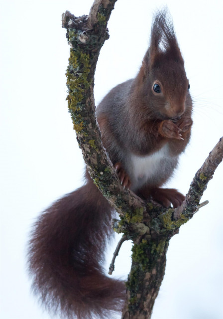 exposition-photographique-dominique-steinel