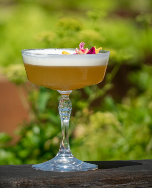 pexels-balmont-lea-1876291673-28642821