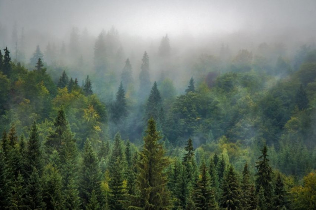 nature-et-bien-etre-bussang