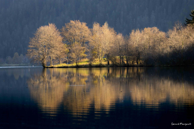 GERARDMOUGENOT