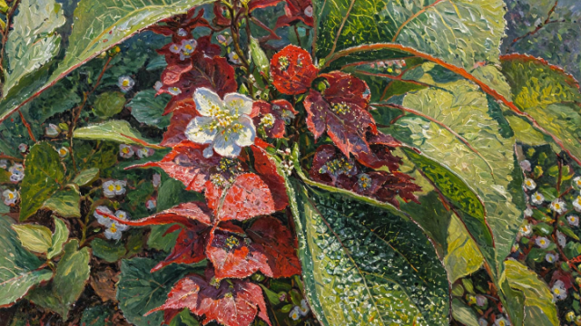 Unefiguedanslepoirier