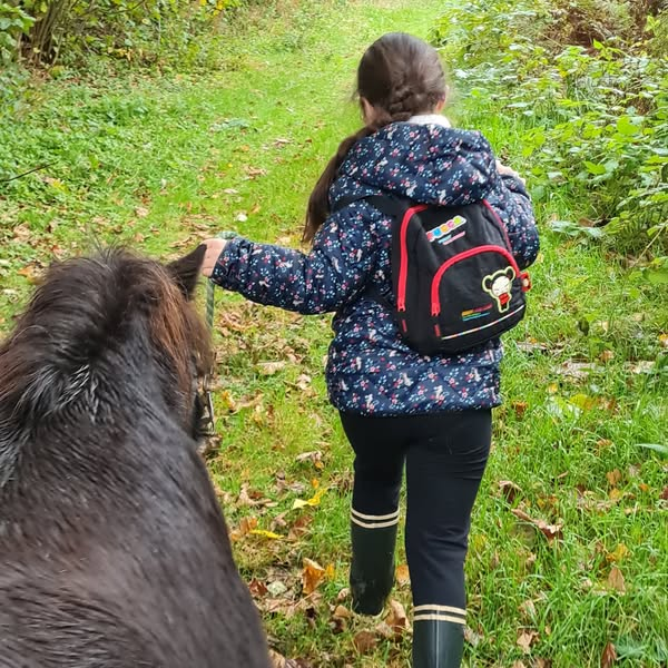 balade-poney-ventron