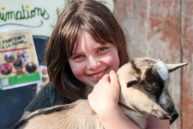 pexels-marie-claude-vergne-316473708-36687488