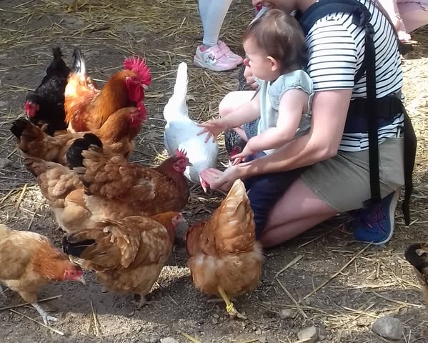 visite-gouter-ferme-ventron