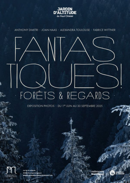 exposition-forets-jardin-chitelet-xonrupt-longemer