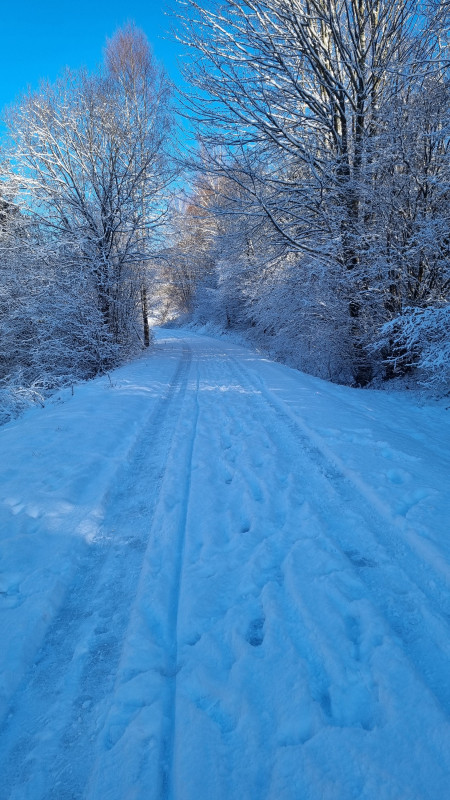 20251122-135845-322635