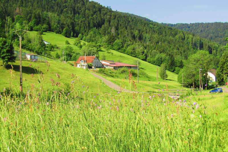 Appartement les fremi'zh st maurice sur moselle-329634 Appartement les fremi'zh st maurice sur moselle-329634