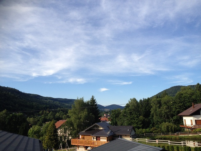 chalet-saint-maurice -sur-moselle-119011